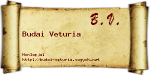 Budai Veturia névjegykártya